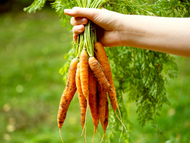 Agricultural Products