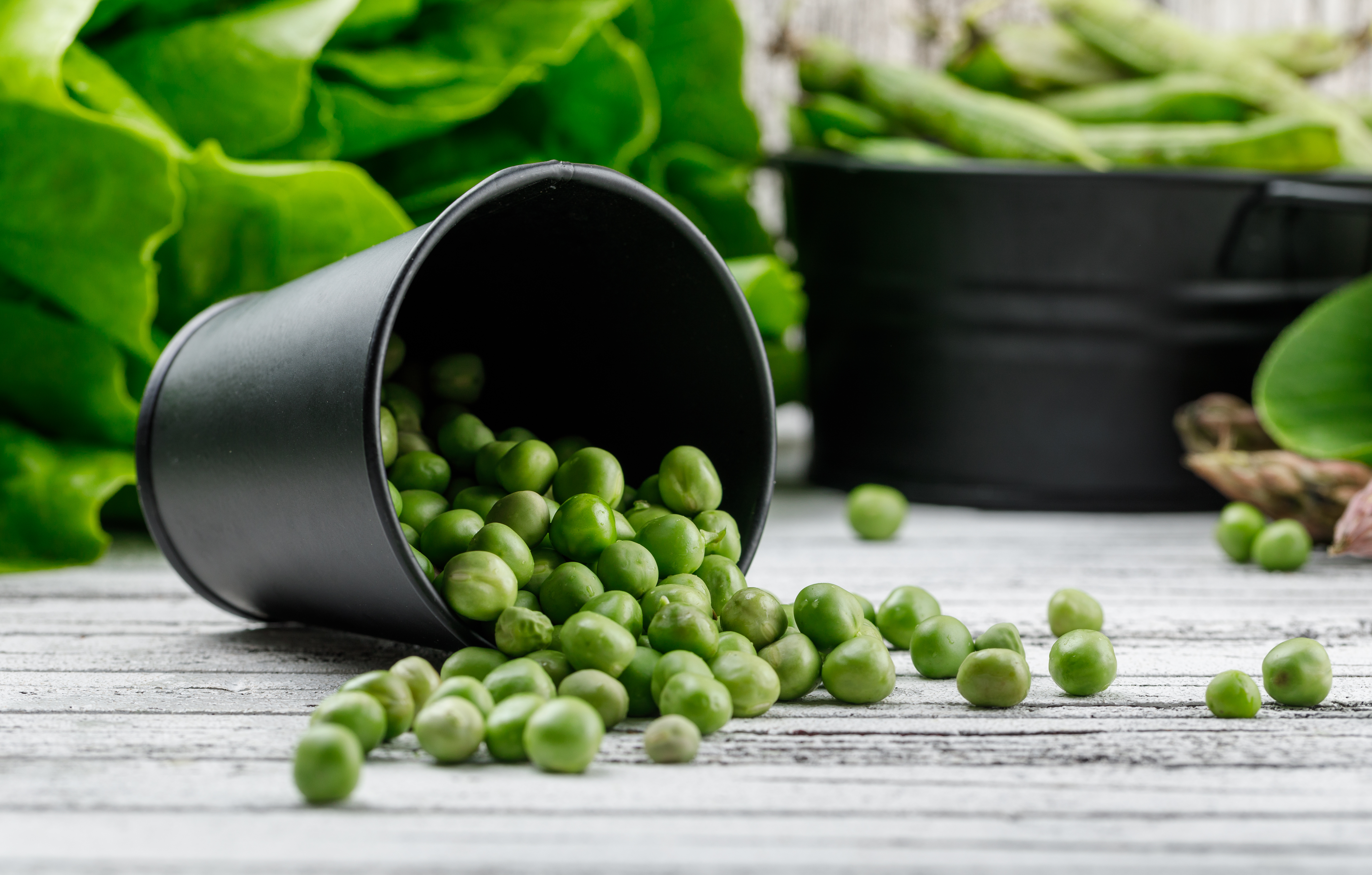 Agricultural Products
